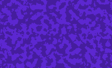 WordPress and Shopify development for Toronto and Ontario small businesses