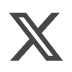 X Icon